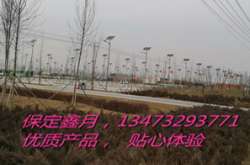 怎樣進行太陽能路燈系統(tǒng)設計-怎樣選購太陽能路燈---太陽能光板選購案例